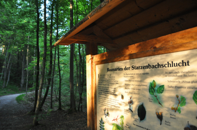 Starzenbachschlucht